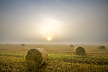 Wschód słońca w mglisty poranek nad polem po żniwach,snopki słomy na ściernisku © Mike Mareen