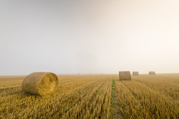 Wschód słońca w mglisty poranek nad polem po żniwach,snopki słomy na ściernisku © Mike Mareen
