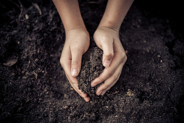 Black soil in hand
