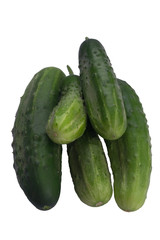 Five green cucumbers lie on each other