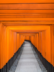 Road of Toris in Fushimi Inari shrine