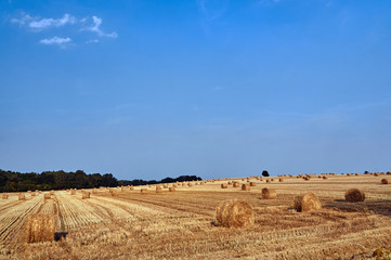 Rural landscape with large round bales after harvest in Poland.