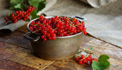 fresh red currant in the old metal bow on the wooden rustic table 
