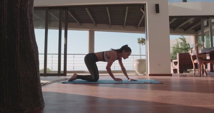 Fitness female doing stretching workout on exercise mat in living room. Woman starting doing push ups at home.
