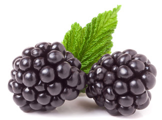 blackberry with leaf isolated on a white background closeup