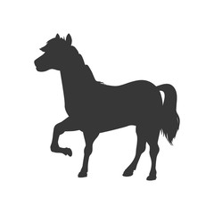 Horse animal farm pet character icon. Isolated and flat illustration. Vector graphic
