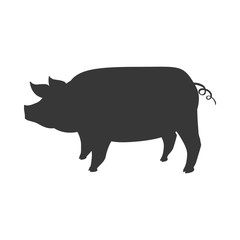 Pig animal farm pet character icon. Isolated and flat illustration. Vector graphic