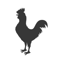 Rooster animal farm pet character icon. Isolated and flat illustration. Vector graphic