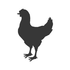 Chicken animal farm pet character icon. Isolated and flat illustration. Vector graphic