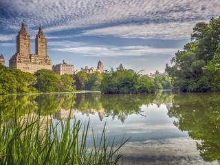 Fototapeta na wymiar Central Park, New York City