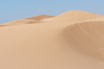 Fototapeta na wymiar North African Desert/Moroccan Desert scene with blue sky