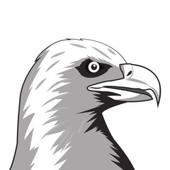 flat design eagle drawing icon vector illustration