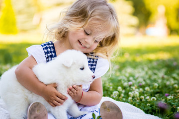 happy little girl playing with Samoyed puppy