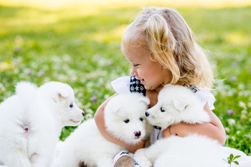 happy little girl playing with Samoyed puppy - obrazy, fototapety, plakaty