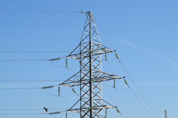Power line support