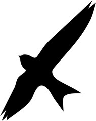 Silhouette of flying swift
