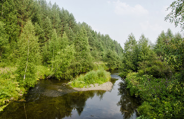 Taiga forest creek