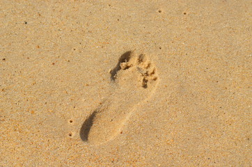 empreinte de pied