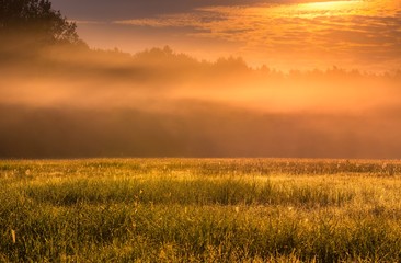 Mysterious and hazy meadow landscape photographed in Poland