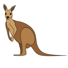 Animals Australia - kangaroo