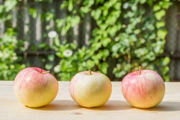 Three apples on a wooden table in the garden
