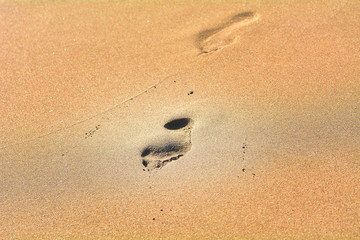 Fototapeta na wymiar The footprint on the beach