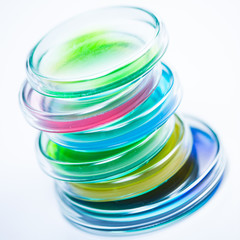 Research Laboratory, Petry disches