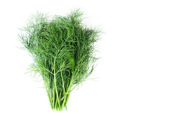 Fresh green dill