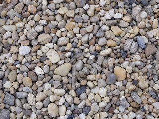 Abstract pebble stones background texture macro, selective focus