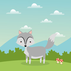 Woodland animal concept represented by cute wolf cartoon icon over landscape. Colorfull and flat illustration. 
