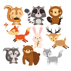 Fototapety  Woodland animal concept represented by cute squirrel raccoon beaver fox rabbit reindeeer skunk bear wolf cartoon icon. Colorfull and flat illustration. 