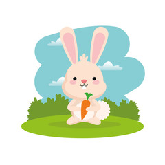 Woodland animal concept represented by cute rabbit cartoon with carrot icon. Colorfull and flat illustration. 