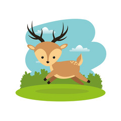 Woodland animal concept represented by cute reindeer cartoon icon. Colorfull and flat illustration. 