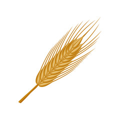 wheat ears food plant agriculture icon. Isolated and flat illustration. Vector graphic