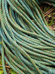 Roll bristly of green nylon rope
