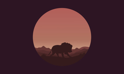 Silhouette of Single lion in fields