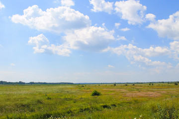 Wide meadow and blue sky. Summer landscape