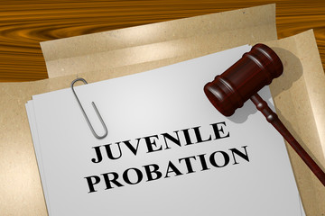 Juvenile Probation - legal concept - obrazy, fototapety, plakaty