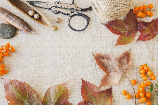 Autumn fall craft mock up setting toning copy space background