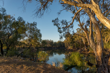 Obraz premium On the Murray River early morning