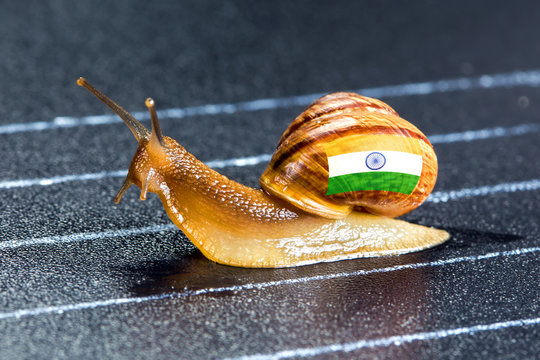 Snail under flag of India on sports track