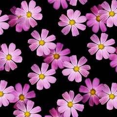 Fototapeta na wymiar Beautiful summer background of delicate pink flowers 