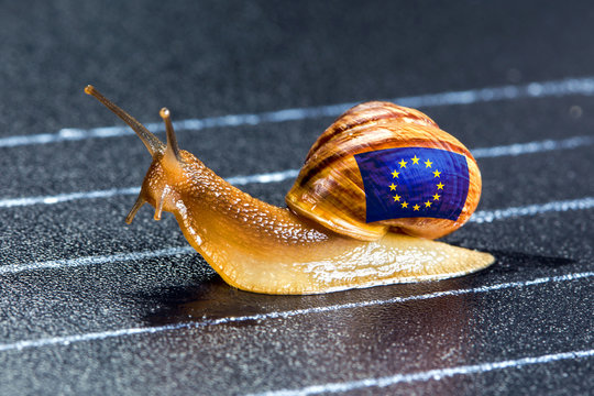 Snail under flag of Europe on sports track
