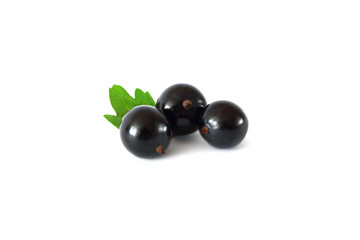 black currant isolated on a white background