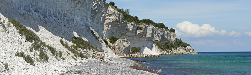 Fototapeta premium Stevns Cliff, Denmark
