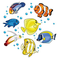 Tropical Fish Cartoon
Illustration of tropical fish.