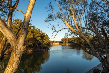 Wandcirkels tuinposter On the Murray River early morning © Michael Garner