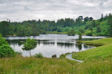 Fototapeta na wymiar Tarn Hows, a picturesque outdoor area in the Lake District in Cumbria, England