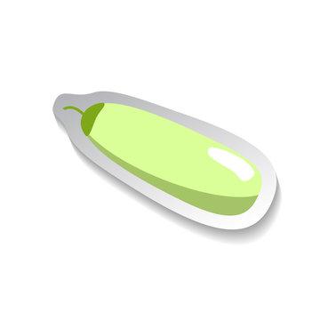 Zucchini vector icon in flat style with shadow. Vegetable pictogram.