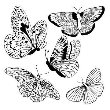 Set of butterflies Black silhouettes.